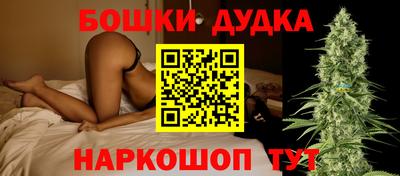 индика Ирбит