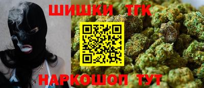 индика Ирбит