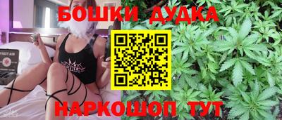 индика Ирбит