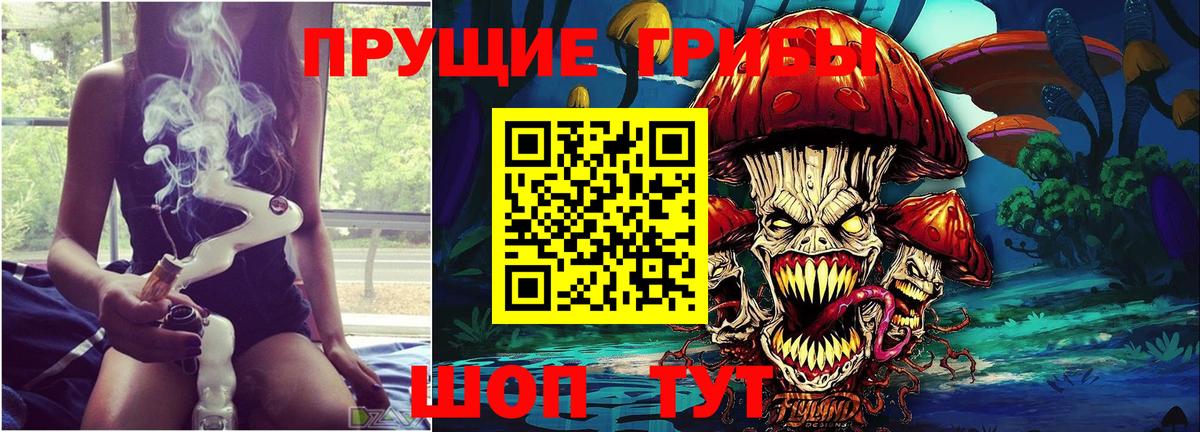 Псилоцибиновые грибы Psilocybe Горячий Ключ